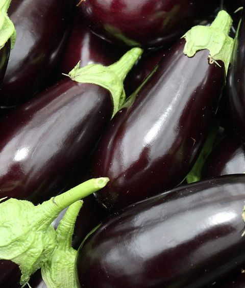 Aubergine