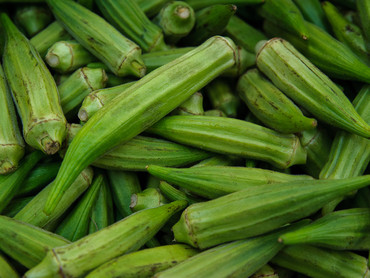 Okra Okra