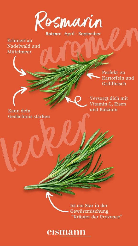 Rosmarin - Eigenschaften, Saison und Vorteile in der Ernährung