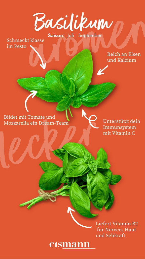 Basilikum - Eigenschaften, Saison und Vorteile in der Ernährung
