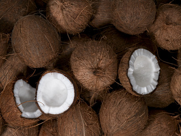 Kokosnuss Kokosnuss