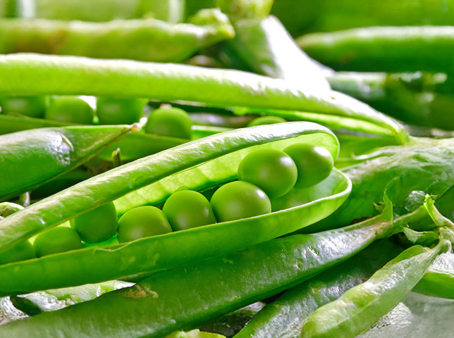 Detaillierte Infos zu Produkten Detaillierte Infos zu Produkten