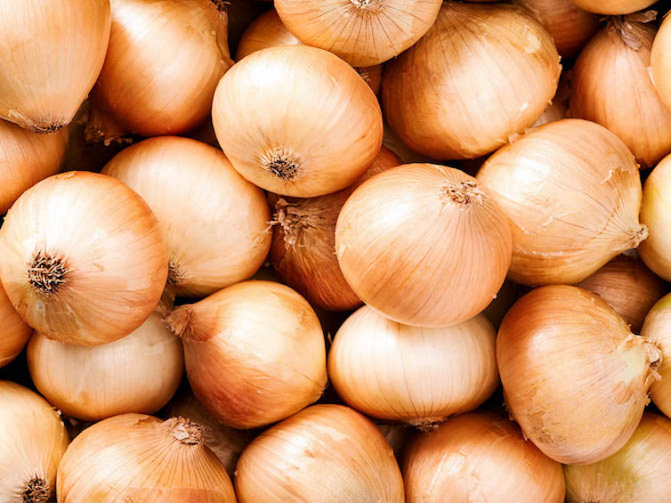 Zwiebeln