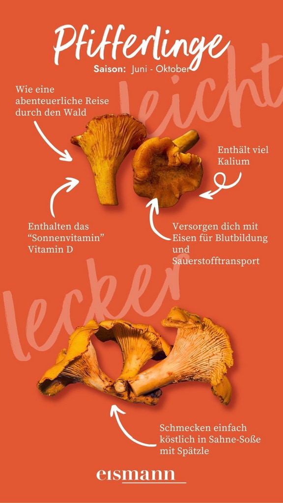 Pfifferlinge - Eigenschaften, Saison und Vorteile in der Ernährung