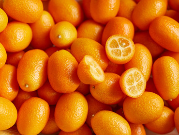 Kumquat Kumquat
