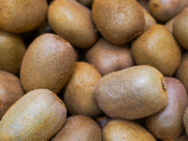 Kiwi Kiwi