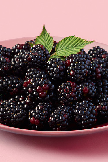 Brombeeren 45116 Brombeeren 45116