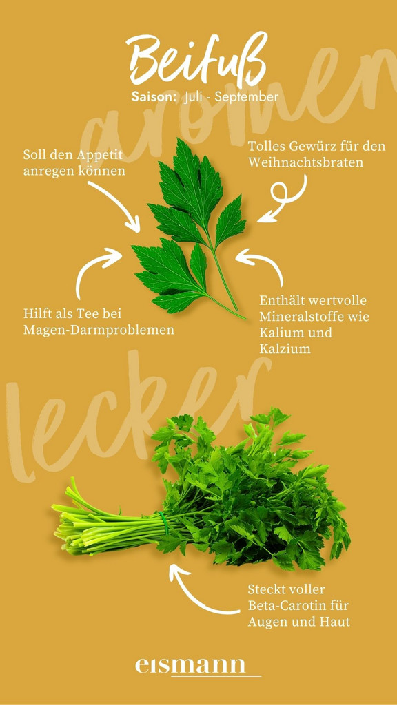 Beifuss - Eigenschaften, Saison und Vorteile in der Ernährung