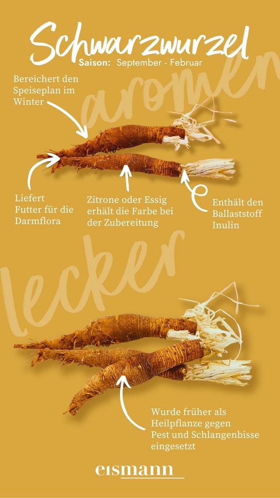 Schwarzwurzel - Eigenschaften, Saison und Vorteile in der Ernährung