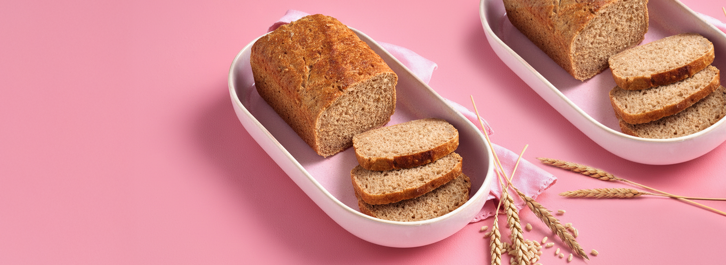 BIO Dinkel-Roggenbrot 65103 BIO Dinkel-Roggenbrot 65103