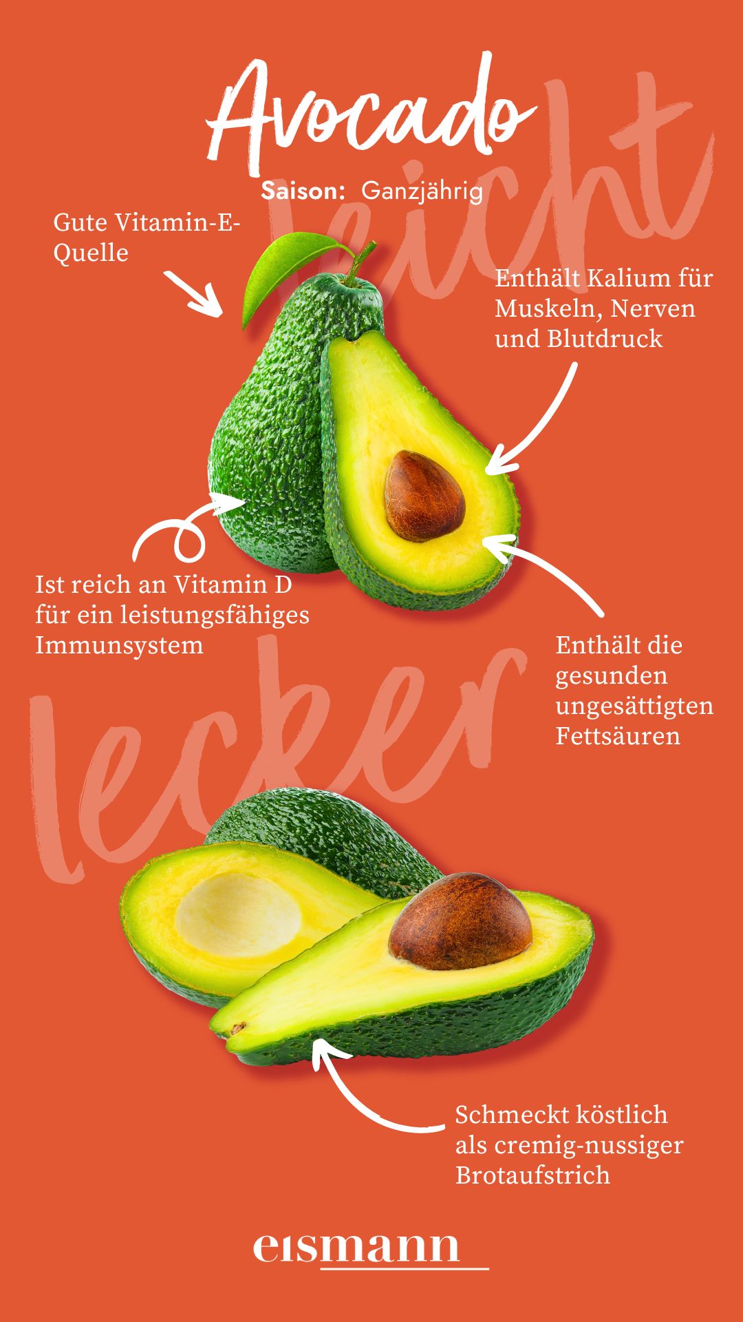 Avocado Infografik